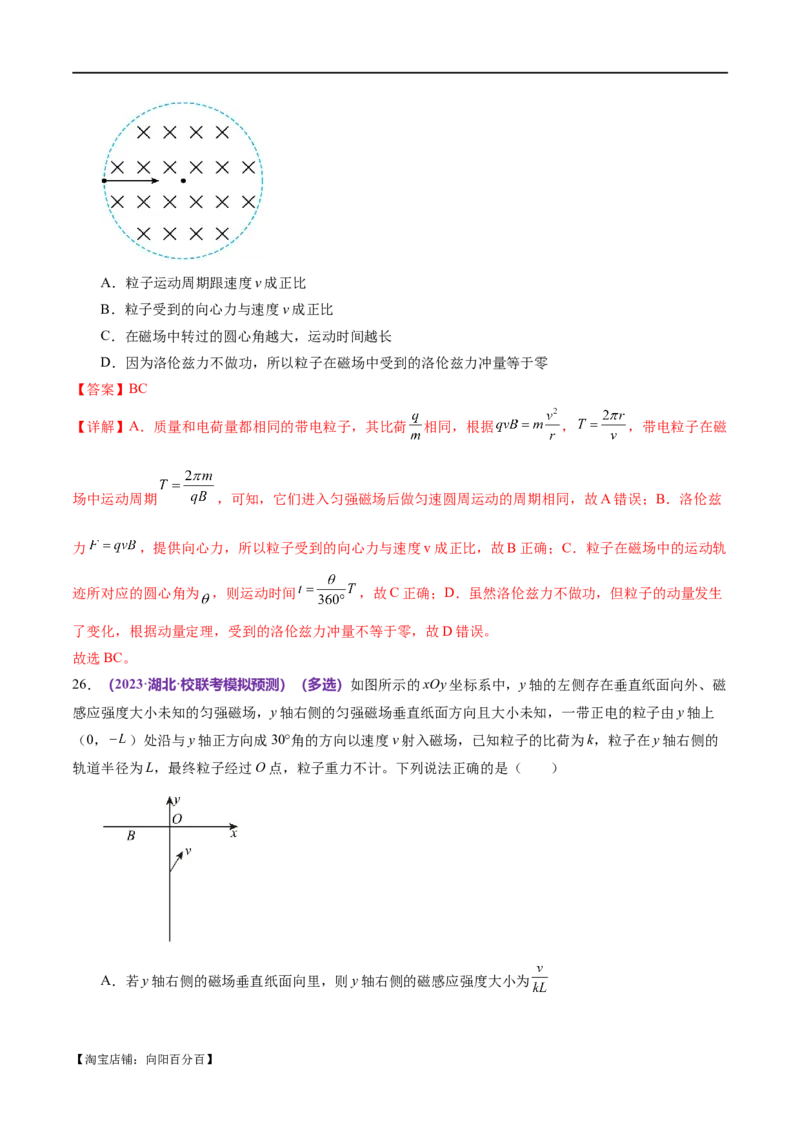 专题10磁场带电粒子在磁场中的运动（练习）（解析版）_04高考物理_新高考复习资料_2024新高考复习资料_二轮复习资料_2024年高考物理二轮复习讲练测（新教材新高考）