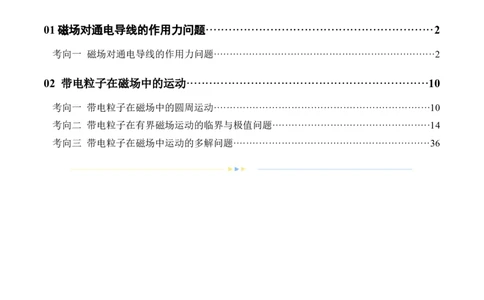 专题10磁场带电粒子在磁场中的运动（练习）（解析版）_04高考物理_新高考复习资料_2024新高考复习资料_二轮复习资料_2024年高考物理二轮复习讲练测（新教材新高考）