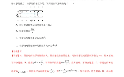 专题10磁场带电粒子在磁场中的运动（练习）（解析版）_04高考物理_新高考复习资料_2024新高考复习资料_二轮复习资料_2024年高考物理二轮复习讲练测（新教材新高考）