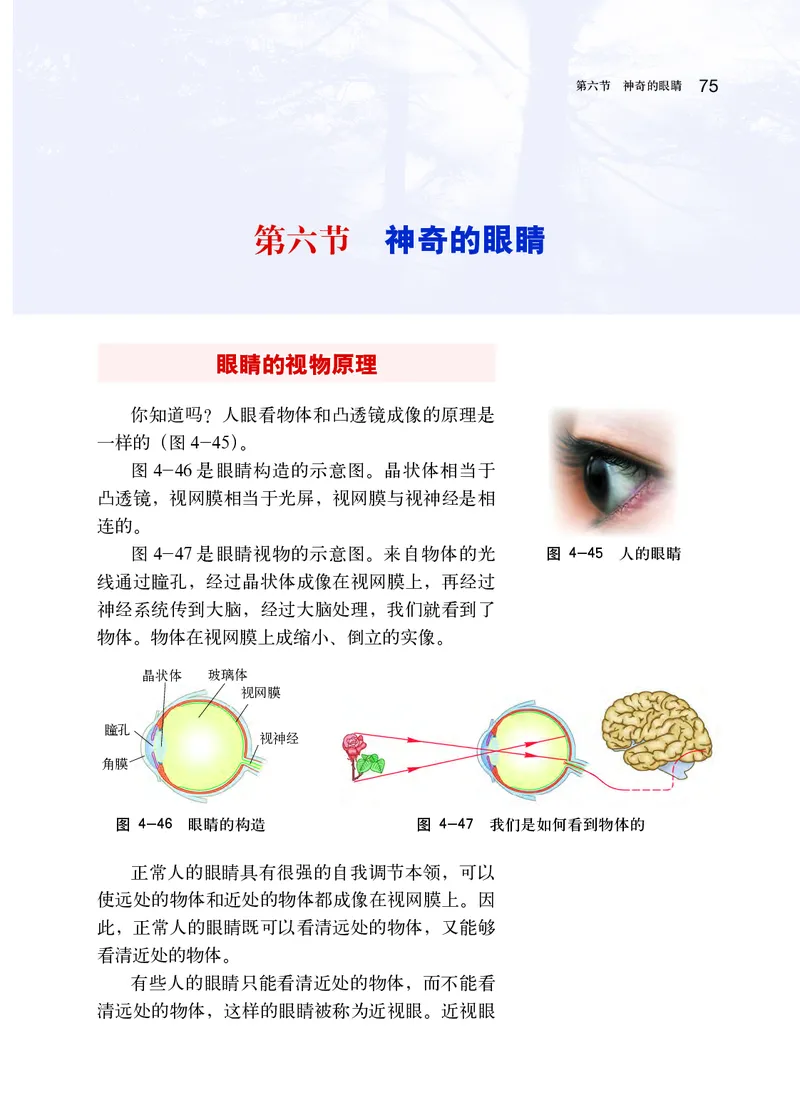 沪科版8年级物理全一册高清教材_初中物理教资面试_03初中物理逐字稿_2初中物理-电子教材，教案_全部版本&bull;初中物理电子课本_沪科版初中物理电子课本