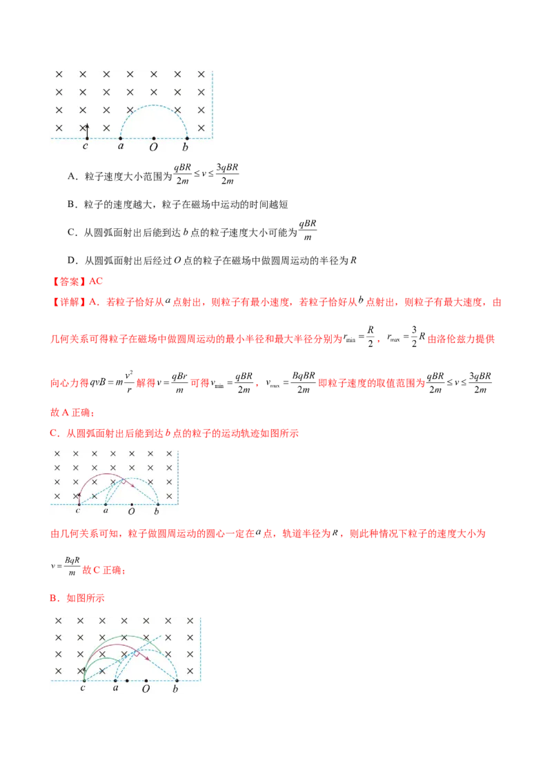 专题10磁场带电粒子在磁场中的运动（练习）（解析版）_04高考物理_2025年新高考资料_二轮复习_上好课2025年高考物理二轮复习讲练测（新高考通用）3381829