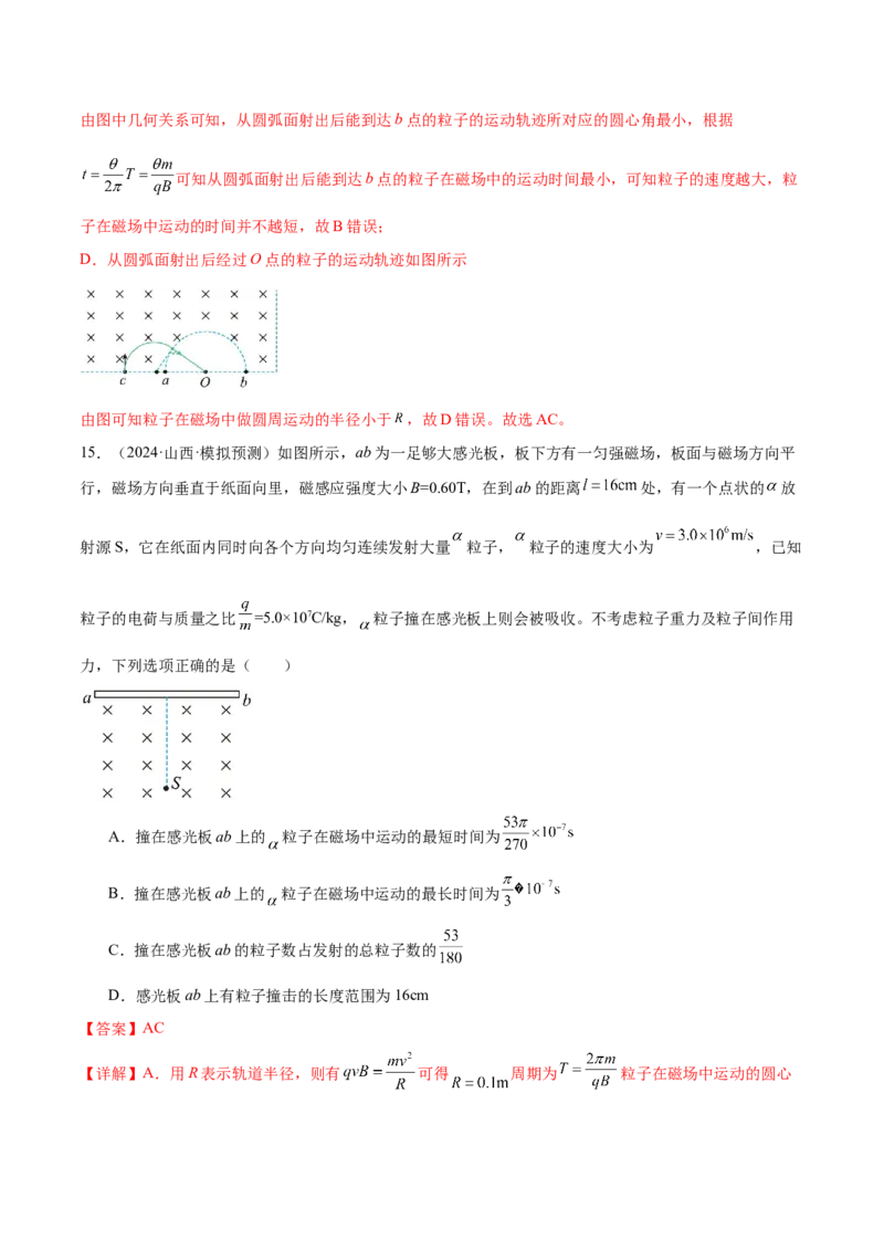 专题10磁场带电粒子在磁场中的运动（练习）（解析版）_04高考物理_2025年新高考资料_二轮复习_上好课2025年高考物理二轮复习讲练测（新高考通用）3381829