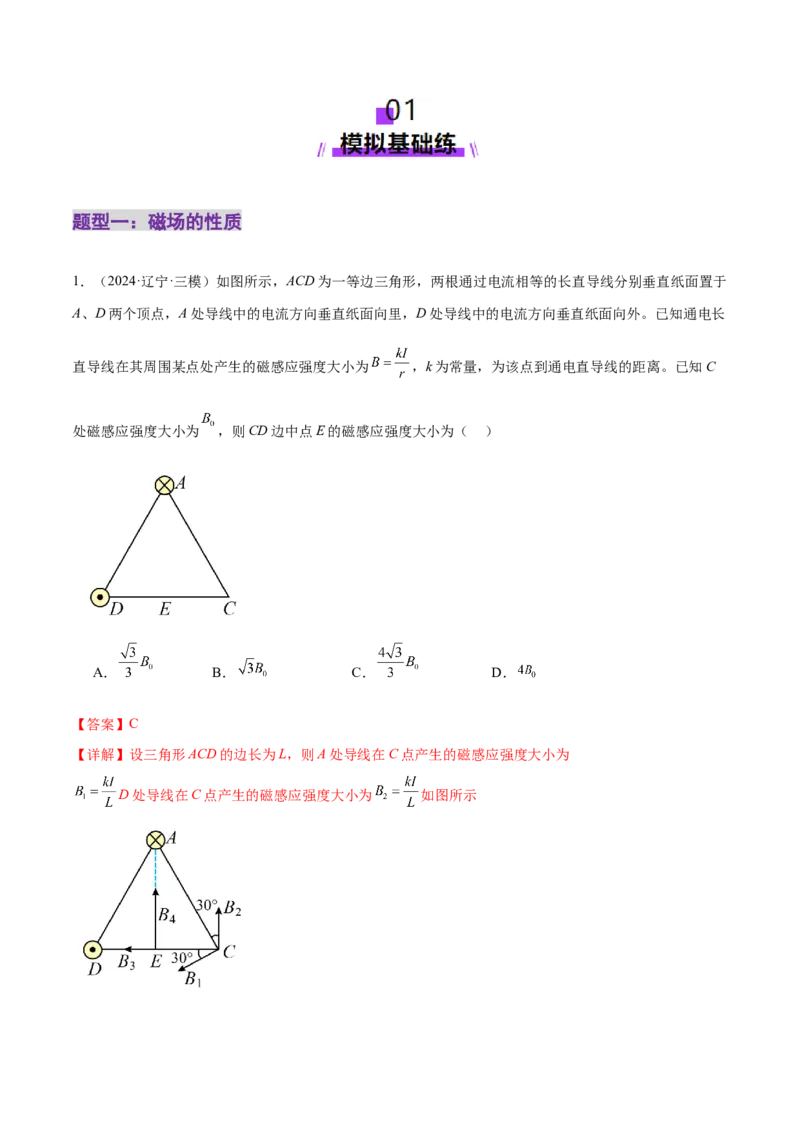 专题10磁场带电粒子在磁场中的运动（练习）（解析版）_04高考物理_2025年新高考资料_二轮复习_上好课2025年高考物理二轮复习讲练测（新高考通用）3381829