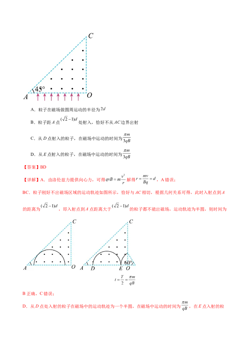 专题10磁场带电粒子在磁场中的运动（练习）（解析版）_04高考物理_2025年新高考资料_二轮复习_上好课2025年高考物理二轮复习讲练测（新高考通用）3381829