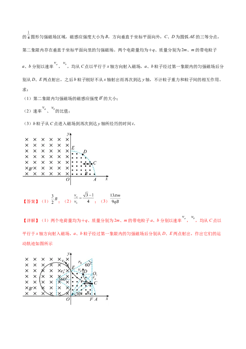 专题10磁场带电粒子在磁场中的运动（练习）（解析版）_04高考物理_2025年新高考资料_二轮复习_上好课2025年高考物理二轮复习讲练测（新高考通用）3381829