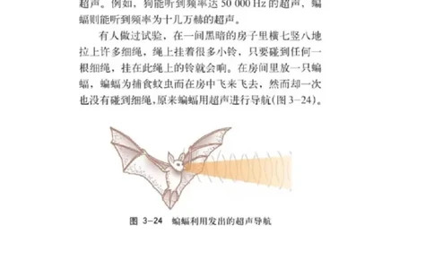 1初中物理教师资格证面试《超声》试讲稿(逐字稿)和答辩题及答案_初中物理教资面试_03初中物理逐字稿_1初中物理逐字稿（260篇）_1初中物理试讲稿250篇重点