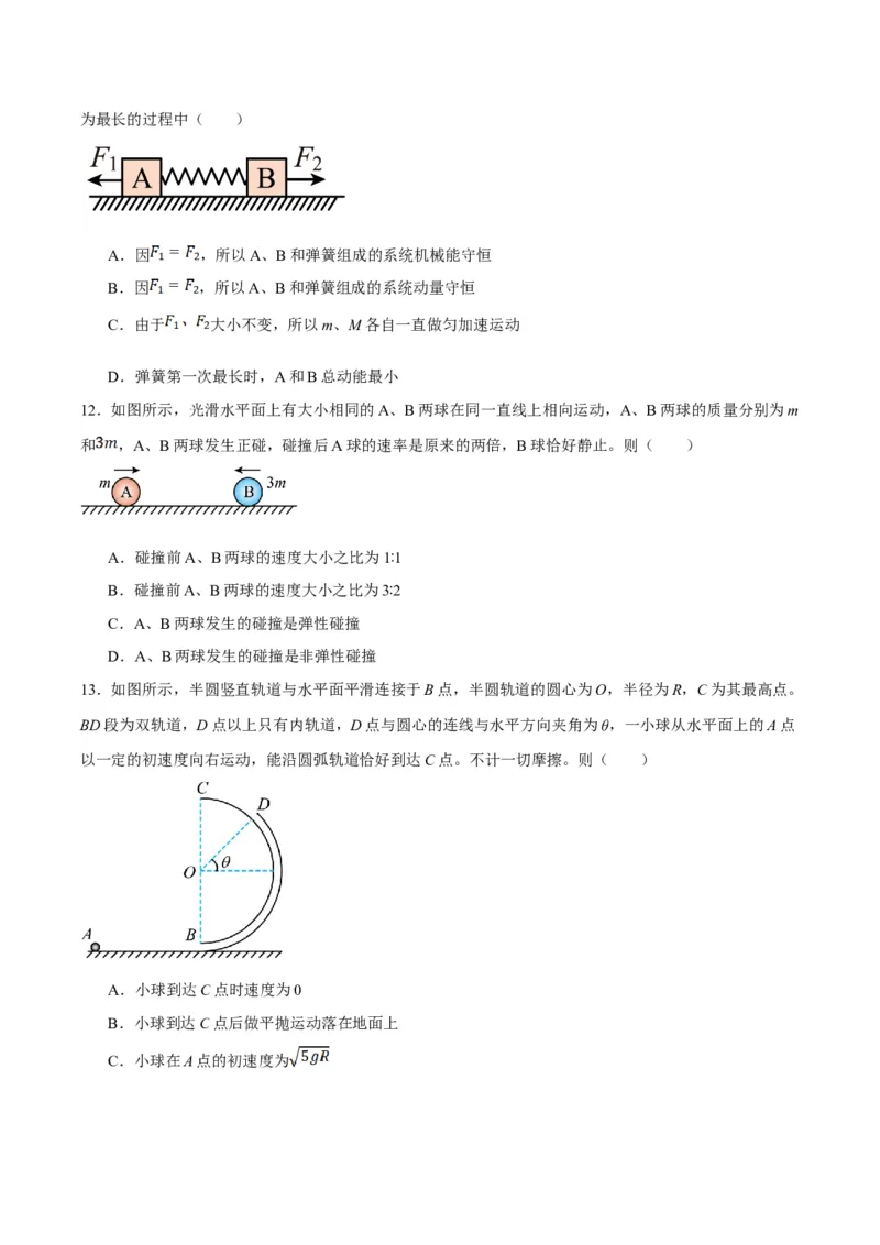专题06动量与能量综合运用（讲义）（原卷版）_04高考物理_新高考复习资料_2024新高考复习资料_二轮复习资料_讲义