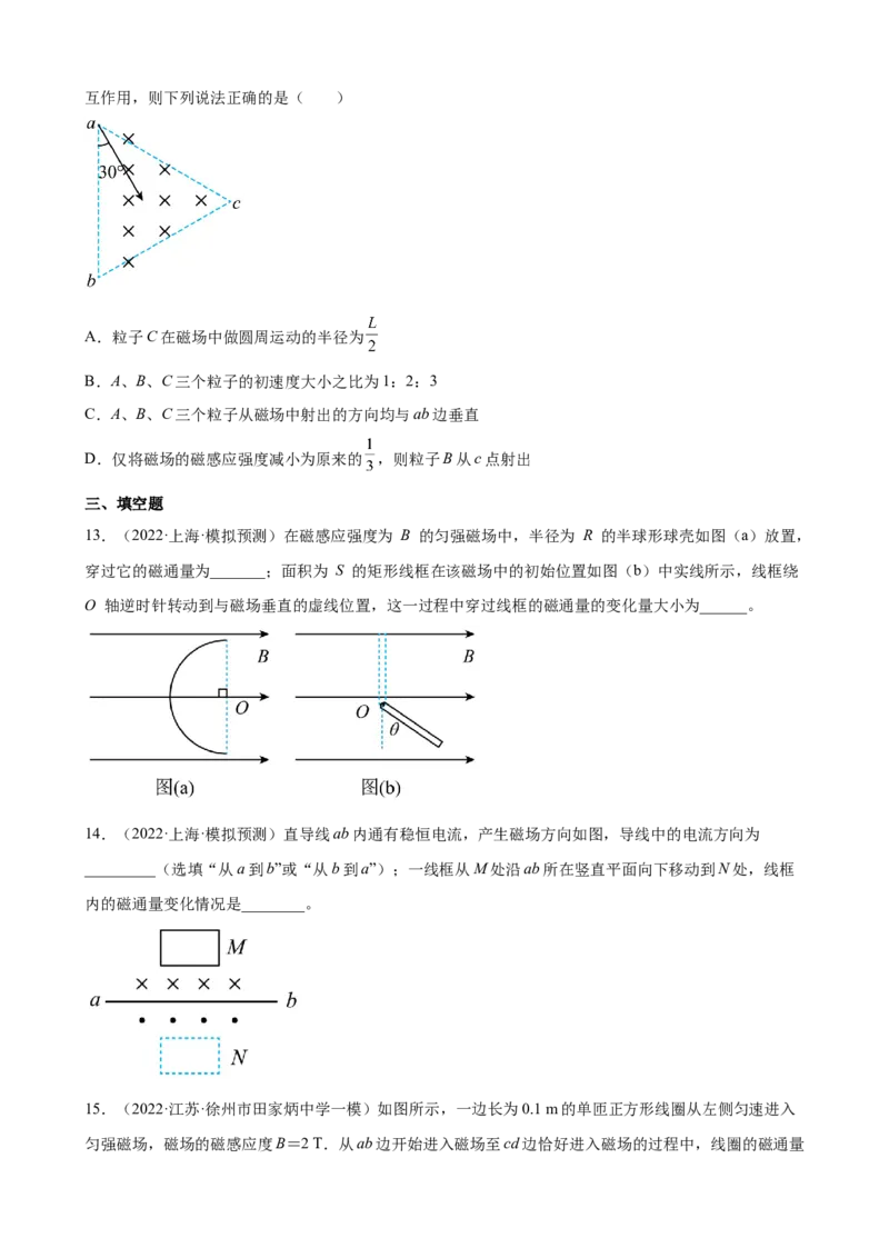 2022届高考物理二轮复习专题练习：专题11磁场（word版含答案）_04高考物理_新高考复习资料_2022年新高考复习资料_2022届高考物理二轮复习专题练习（word版，含答案）