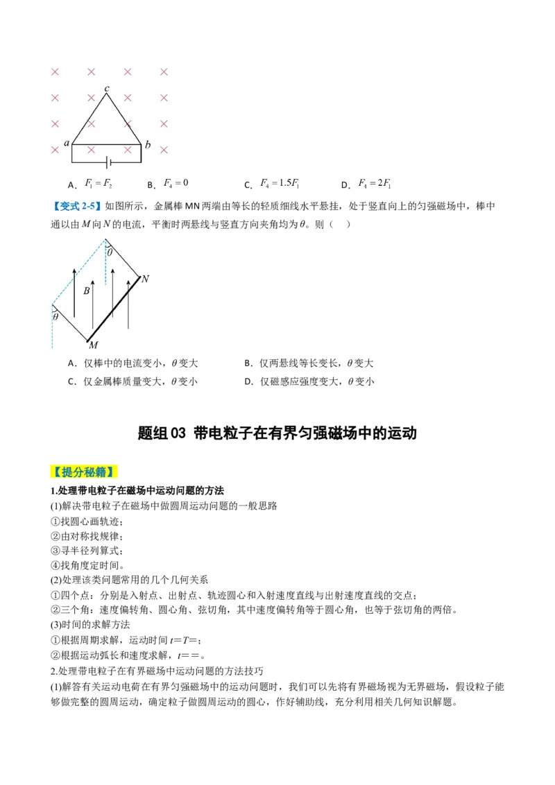 专题05磁场（原卷版）_04高考物理_2025年新高考资料_二轮复习_2025年高考物理二轮热点题型归纳与变式演练（新高考通用）339880232