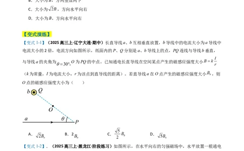 专题05磁场（原卷版）_04高考物理_2025年新高考资料_二轮复习_2025年高考物理二轮热点题型归纳与变式演练（新高考通用）339880232
