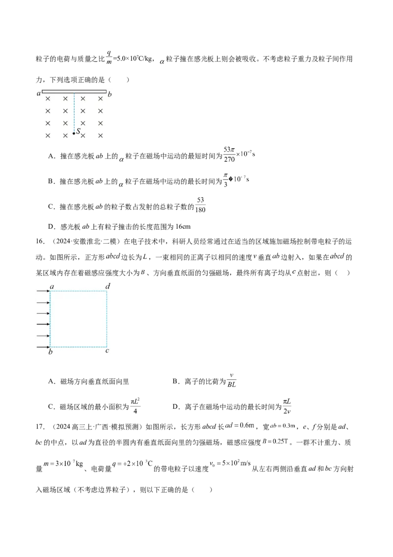 专题10磁场带电粒子在磁场中的运动（练习）（原卷版）_04高考物理_2025年新高考资料_二轮复习_上好课2025年高考物理二轮复习讲练测（新高考通用）3381829