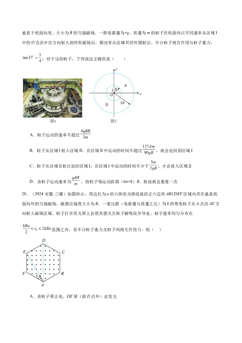 专题10磁场带电粒子在磁场中的运动（练习）（原卷版）_04高考物理_2025年新高考资料_二轮复习_上好课2025年高考物理二轮复习讲练测（新高考通用）3381829