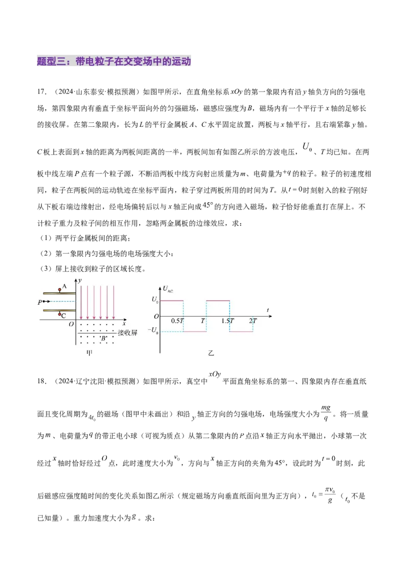 专题11带电粒子在复合场中的运动（练习）（原卷版）_04高考物理_2025年新高考资料_二轮复习_上好课2025年高考物理二轮复习讲练测（新高考通用）3381829