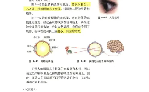 初中物理教师资格证面试《眼睛的视物原理》试讲稿(逐字稿)和答辩题及答案_初中物理教资面试_03初中物理逐字稿_1初中物理逐字稿（260篇）_1初中物理试讲稿250篇重点
