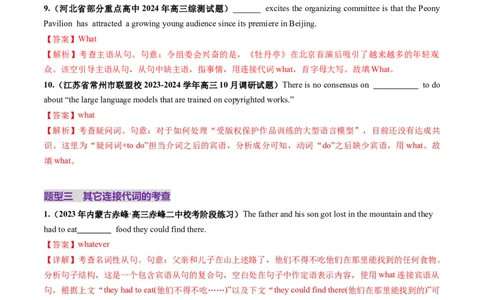 第21讲名词性从句（练习）（解析版）_03高考英语_2025年新高考资料_一轮复习_2025年高考英语一轮复习讲练测（新教材新高考，含2024年高考真题）_语法