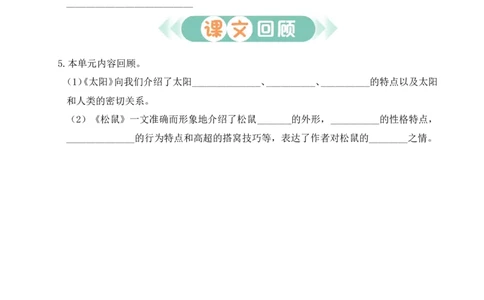 第五单元通关_25秋1-6年级语文上册课件教案_25秋统编版语文五年级上册_统编版语文五年级上册教学资源包（25秋状元大课堂）_4-《状元大课堂》五年级语文上册_五年级语文上册_作业课件