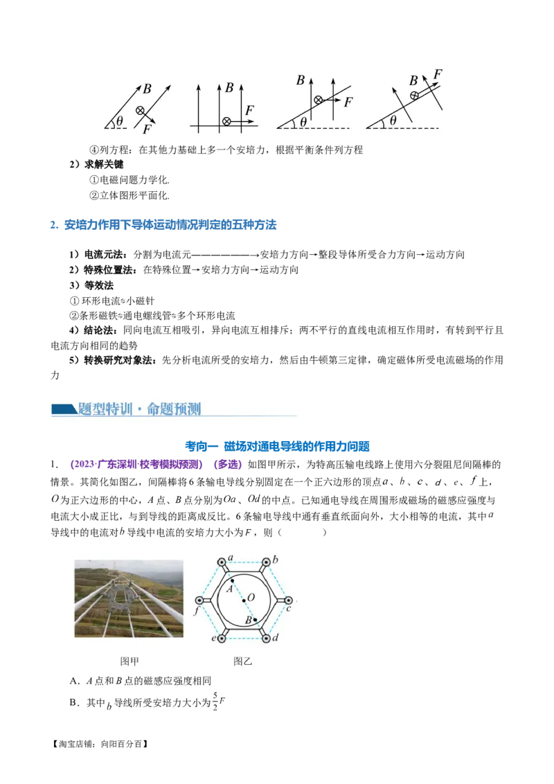 专题10磁场带电粒子在磁场中的运动（讲义）（解析版）_04高考物理_新高考复习资料_2024新高考复习资料_二轮复习资料_2024年高考物理二轮复习讲练测（新教材新高考）