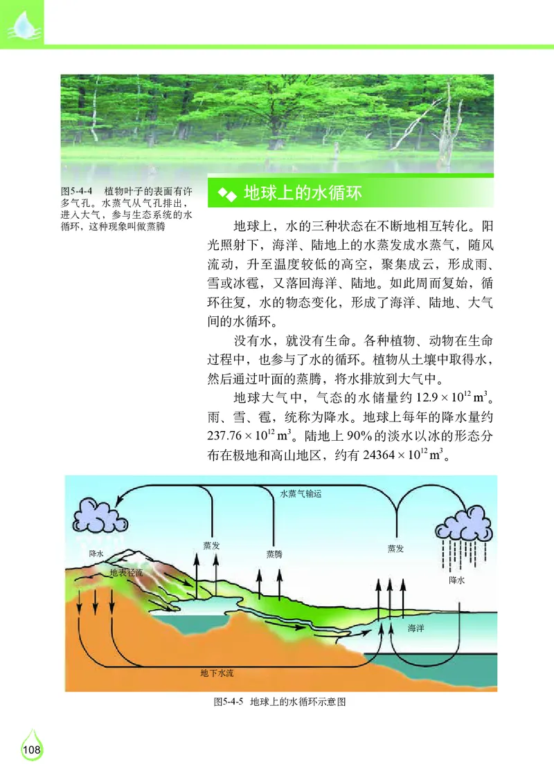 教科版8年级物理上册高清教材_初中物理教资面试_03初中物理逐字稿_2初中物理-电子教材，教案_全部版本&bull;初中物理电子课本_教科版初中物理电子课本
