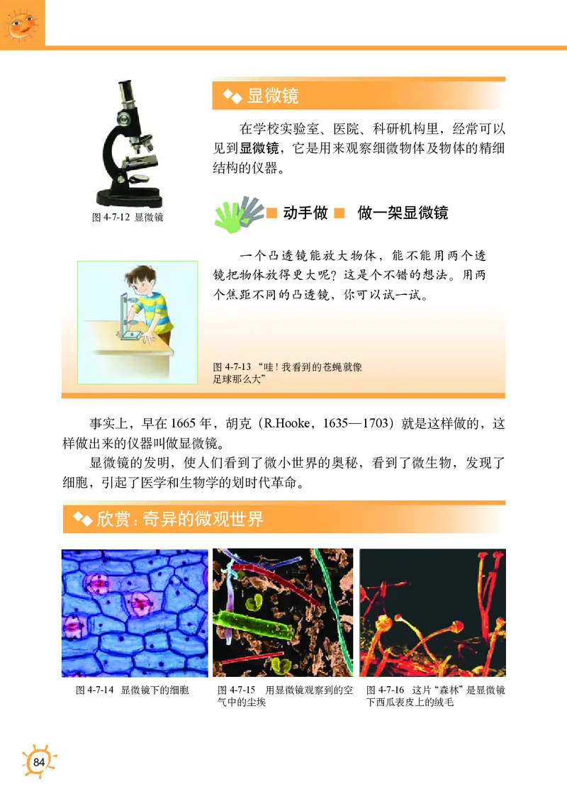 教科版8年级物理上册高清教材_初中物理教资面试_03初中物理逐字稿_2初中物理-电子教材，教案_全部版本&bull;初中物理电子课本_教科版初中物理电子课本