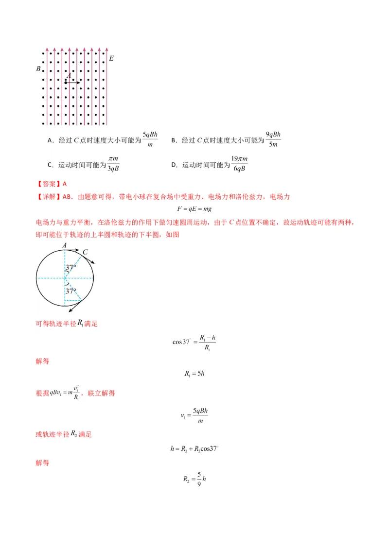 专题05磁场（解析版）_04高考物理_2025年新高考资料_二轮复习_2025年高考物理二轮热点题型归纳与变式演练（新高考通用）339880232