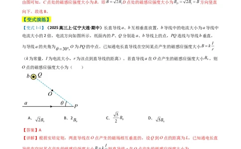 专题05磁场（解析版）_04高考物理_2025年新高考资料_二轮复习_2025年高考物理二轮热点题型归纳与变式演练（新高考通用）339880232