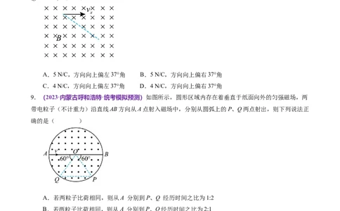 专题10磁场带电粒子在磁场中的运动（测试）（原卷版）_04高考物理_新高考复习资料_2024新高考复习资料_二轮复习资料_2024年高考物理二轮复习讲练测（新教材新高考）