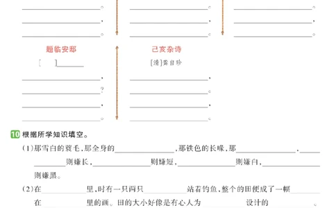 语文2024秋五年级语文1-4单元基础专项练_小学1-6年级常用的上册资源汇总_五年级上册资料(1)
