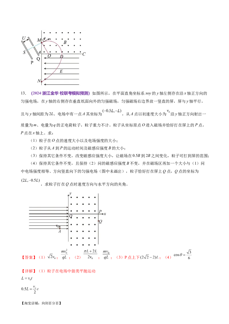 专题11带电粒子在复合场中的运动（练习）（解析版）_04高考物理_新高考复习资料_2024新高考复习资料_二轮复习资料_2024年高考物理二轮复习讲练测（新教材新高考）