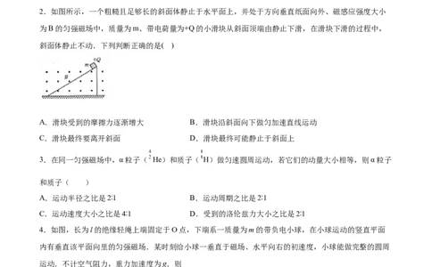 备考2022高考物理一轮复习学案9.2磁场对运动电荷的作用有解析_04高考物理_新高考复习资料_2022年新高考复习资料_备考2022新教材高考物理一轮复习精讲精练学案（含解析）