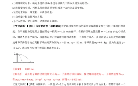 专题9.2动量守恒定律的应用及实验讲解析版_04高考物理_新高考复习资料_2022年新高考复习资料_2022年高考物理一轮复习讲练测（新教材新高考）