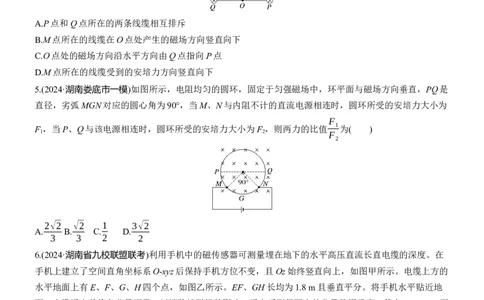 热点10　磁场的性质淘宝店：红太阳资料库_04高考物理_2025年新高考资料_二轮复习_2025年高考物理大二轮_2025物理二轮专题复习学生用书Word版文档_二轮专题强化练+考前特训