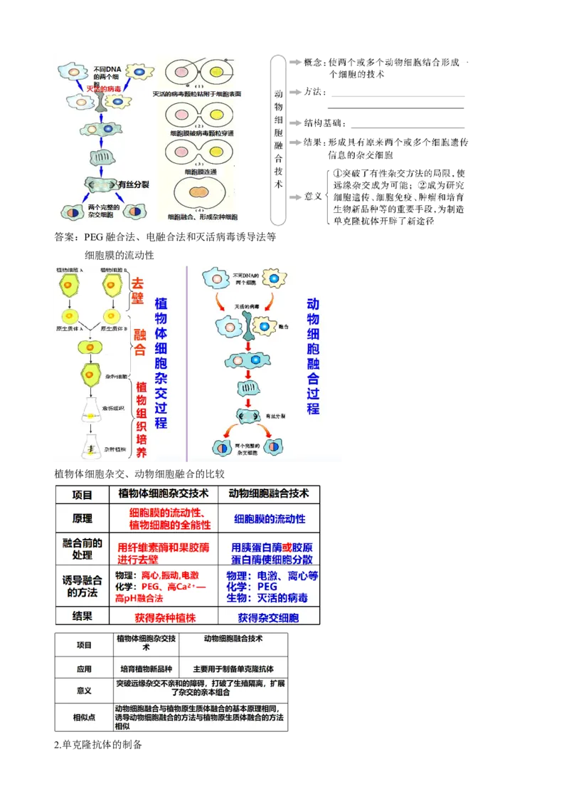 第41讲动物细胞工程（讲义）-2024年高考生物一轮复习讲练测（新教材新高考）_09高考生物_2024年新高考资料_1.2024一轮复习_2024年高考生物一轮复习讲练测（新教材新高考）