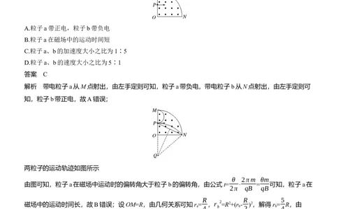 热点11　带电粒子在磁场中的运动_04高考物理_2025年新高考资料_二轮复习_2025年高考物理大二轮_2025物理二轮专题复习教师用书Word版文档_考前特训_热点排查练