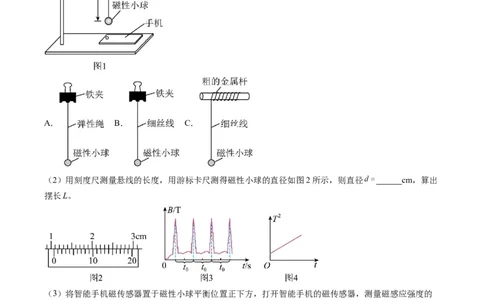 实验题03（2选修+3必修原卷版）_04高考物理_2025年新高考资料_二轮复习_2025年高考物理二轮热点题型归纳与变式演练（新高考通用）339880232