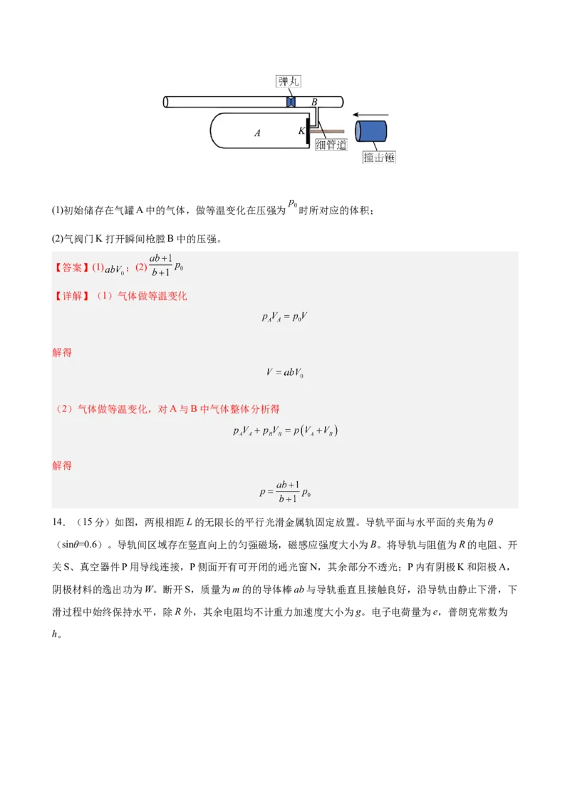 信息必刷卷01（新高考通用）（解析版）_04高考物理_2025年新高考资料_2025考前信息卷_2025年高考物理考前信息必刷卷（新高考通用）3442767