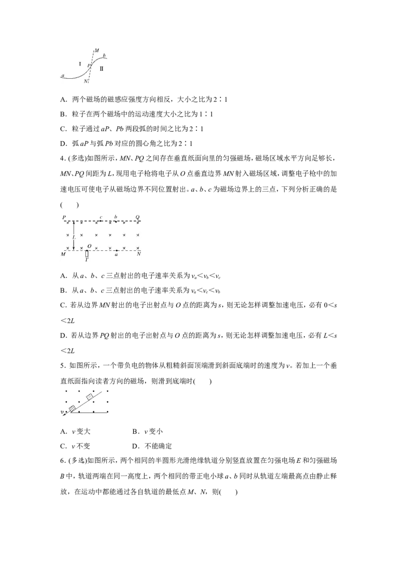 原创（新高考）2021届小题必练21磁场对运动电荷的作用学生版_04高考物理_新高考复习资料_2021年新高考资料_2021届（新高考）高考物理小题必练