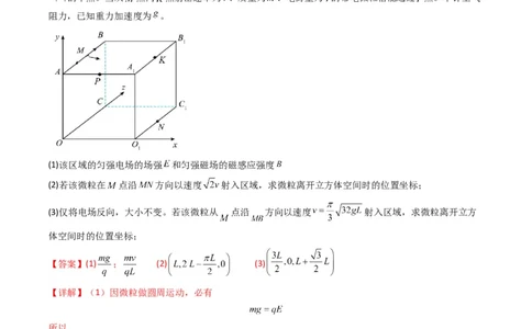 专题20带电粒子在立体空间中的运动问题破译（解析版）_04高考物理_2025年新高考资料_二轮复习_2025年高考物理二轮热点题型归纳与变式演练（新高考通用）339880232