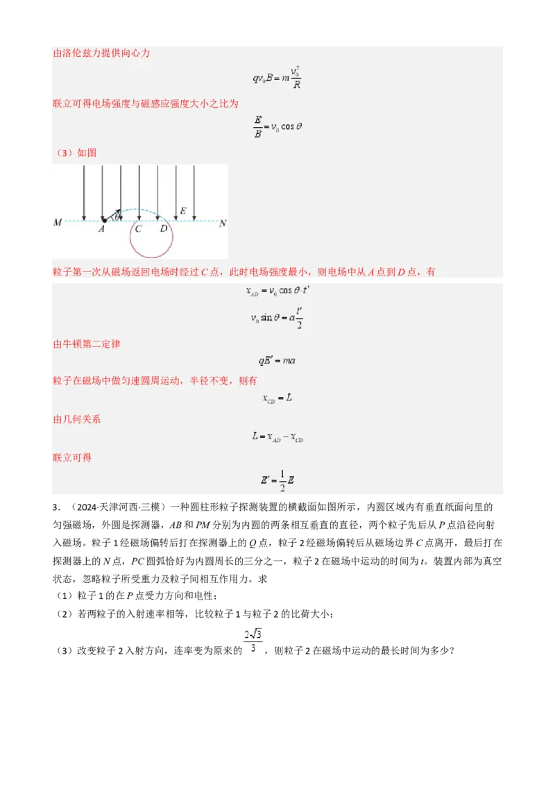 模板11-1磁场（四大题型）（解析版）_04高考物理_2025年新高考资料_二轮复习_2025年高考物理答题技巧与模板构建339420717