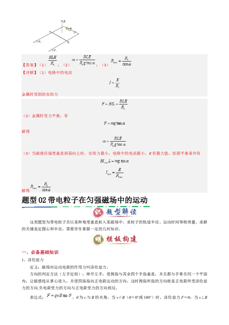 模板11-1磁场（四大题型）（解析版）_04高考物理_2025年新高考资料_二轮复习_2025年高考物理答题技巧与模板构建339420717
