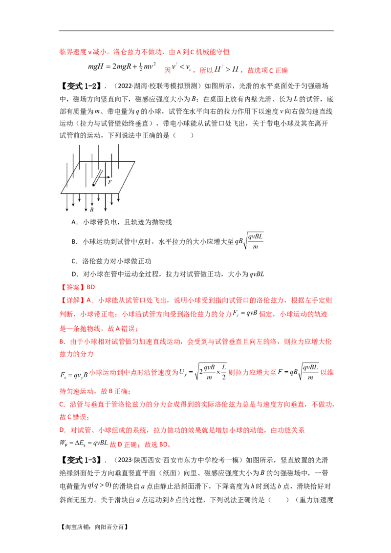 易错点11磁场-（4大陷阱）-备战2024年高考物理考试易错题（解析版）_04高考物理_新高考复习资料_2024新高考复习资料_专项复习资料_备战2024年高考物理考试易错题（新高考专用）