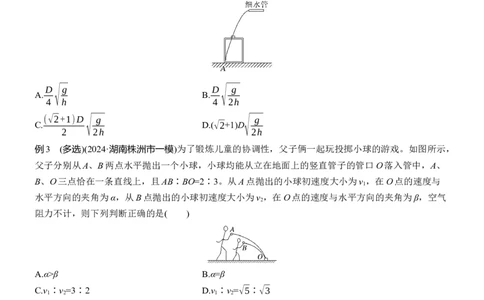 第一篇　专题一　第3讲　抛体运动_04高考物理_2025年新高考资料_二轮复习_2025年高考物理大二轮_2025物理二轮专题复习学生用书Word版文档_大二轮专题复习讲义_第一篇　专题复习