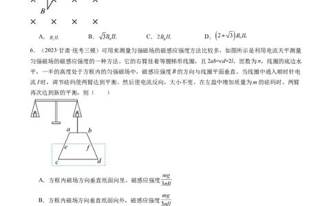 第49讲磁场及其对电流的作用（练习）（原卷版）_04高考物理_新高考复习资料_2024新高考复习资料_一轮复习资料_2024年高考物理一轮复习讲练测（讲义+练习+课件）（新高考）_讲义+练习