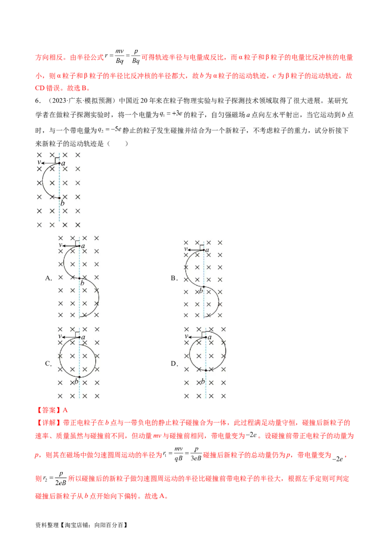 第50讲磁场对运动电荷的作用（练习）（解析版）_04高考物理_新高考复习资料_2024新高考复习资料_一轮复习资料_2024年高考物理一轮复习讲练测（讲义+练习+课件）（新高考）_讲义+练习