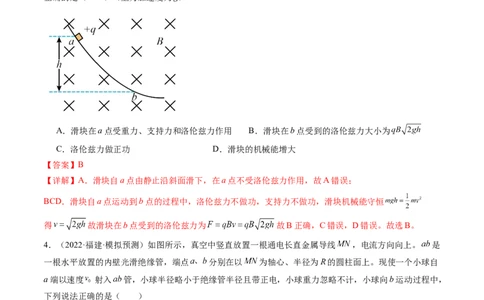 第50讲磁场对运动电荷的作用（练习）（解析版）_04高考物理_新高考复习资料_2024新高考复习资料_一轮复习资料_2024年高考物理一轮复习讲练测（讲义+练习+课件）（新高考）_讲义+练习