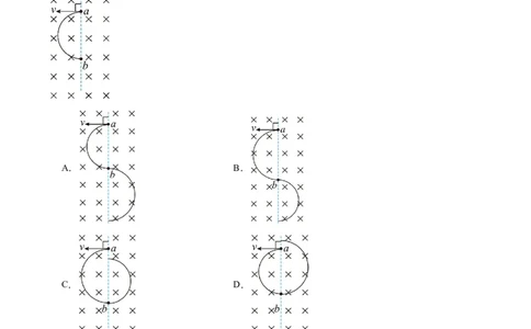 第50讲磁场对运动电荷的作用（练习）（解析版）_04高考物理_新高考复习资料_2024新高考复习资料_一轮复习资料_2024年高考物理一轮复习讲练测（讲义+练习+课件）（新高考）_讲义+练习