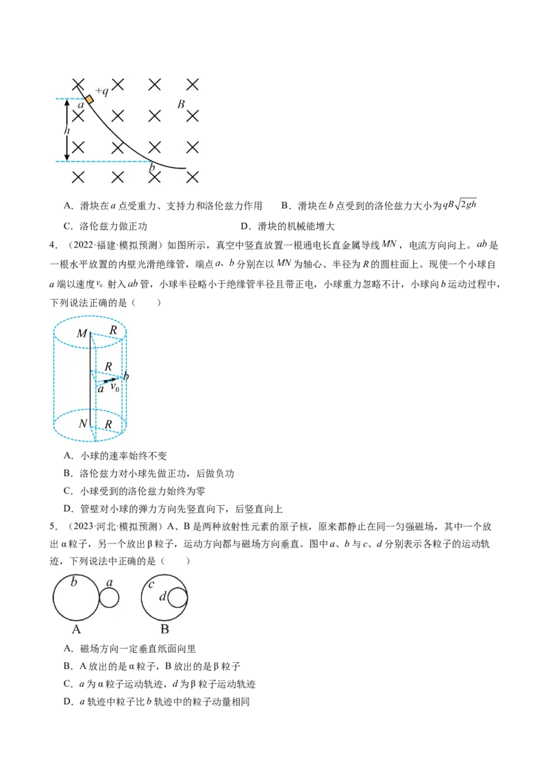 第50讲磁场对运动电荷的作用（练习）（原卷版）_04高考物理_新高考复习资料_2024新高考复习资料_一轮复习资料_2024年高考物理一轮复习讲练测（讲义+练习+课件）（新高考）_讲义+练习
