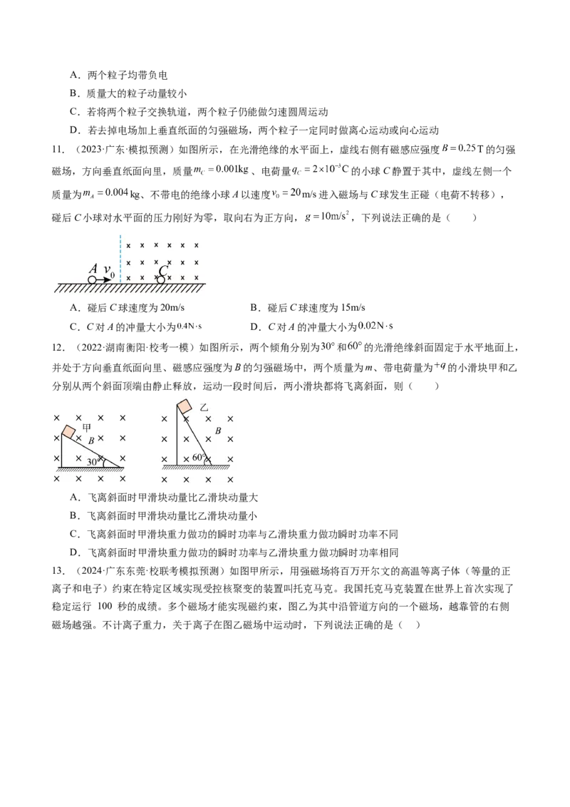 第50讲磁场对运动电荷的作用（练习）（原卷版）_04高考物理_新高考复习资料_2024新高考复习资料_一轮复习资料_2024年高考物理一轮复习讲练测（讲义+练习+课件）（新高考）_讲义+练习