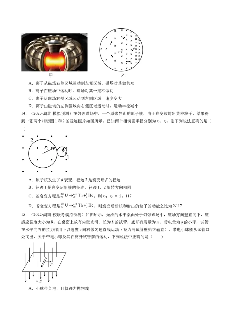 第50讲磁场对运动电荷的作用（练习）（原卷版）_04高考物理_新高考复习资料_2024新高考复习资料_一轮复习资料_2024年高考物理一轮复习讲练测（讲义+练习+课件）（新高考）_讲义+练习