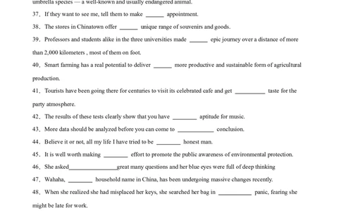 考点巩固卷11冠词（原卷版）_03高考英语_新高考复习资料_2025年新高考复习_2025年高考英语一轮复习考点通关卷（新高考通用）