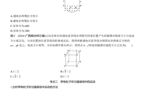 第一篇　专题三　第9讲　磁场_04高考物理_2025年新高考资料_二轮复习_2025年高考物理大二轮_2025物理二轮专题复习学生用书Word版文档_大二轮专题复习讲义_第一篇　专题复习